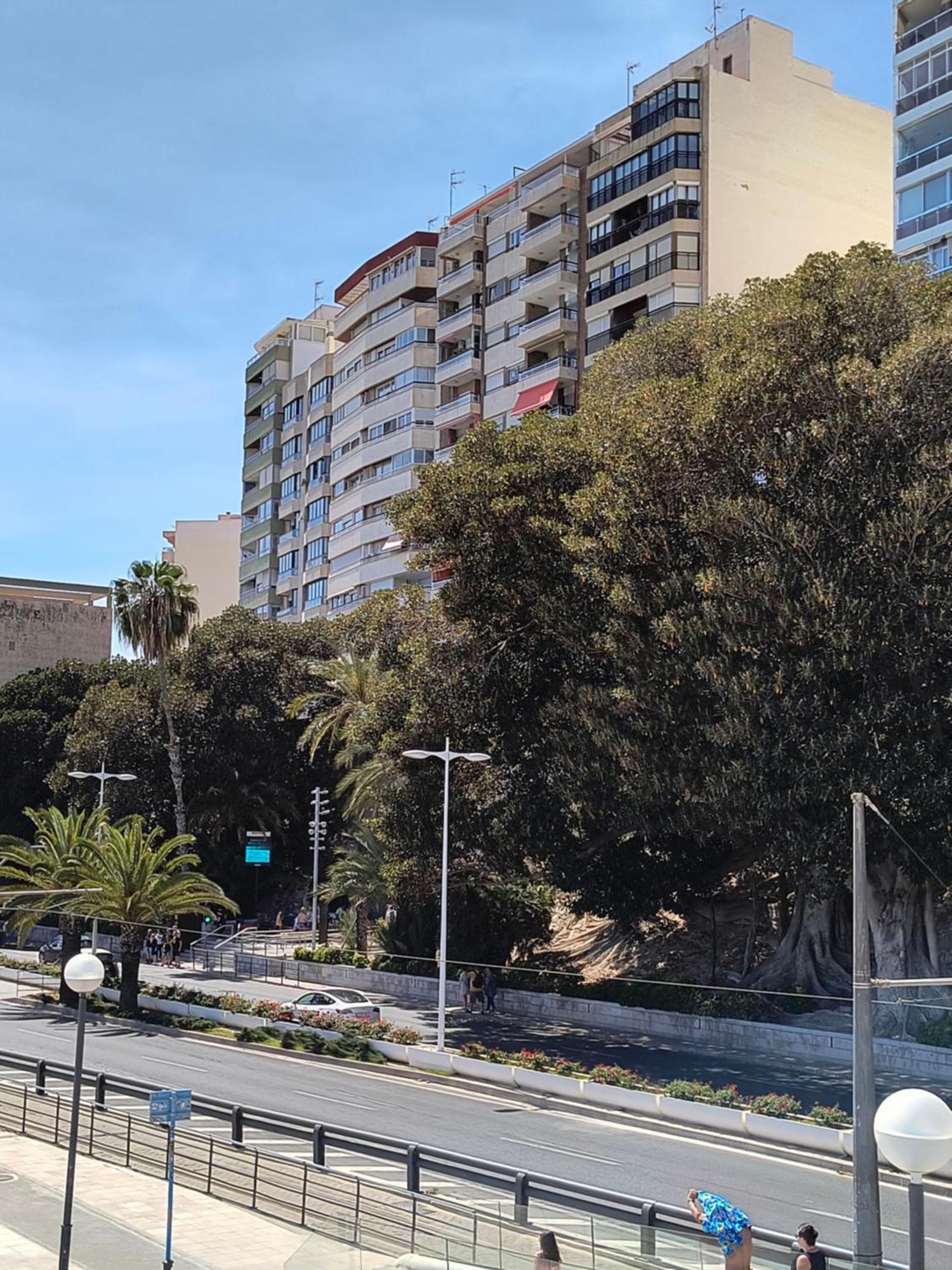 Apartamento Playa 阿利坎特 外观 照片